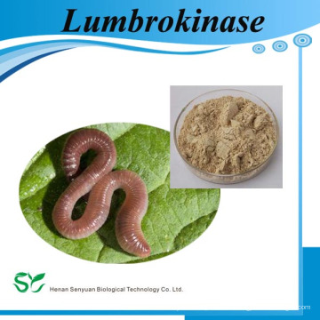 Hochwertige Lumbrokinase CAS Nr .: 556743-18-1 auf Lager